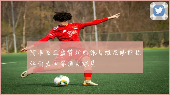 阿韦洛亚盛赞姆巴佩与维尼修斯称他们为世界顶尖球员