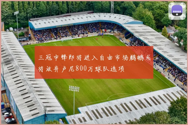 三冠中锋即将进入自由市场鹈鹕或将放弃卢尼800万球队选项