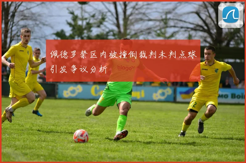佩德罗禁区内被撞倒裁判未判点球引发争议分析